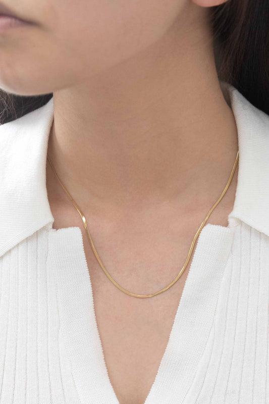 Snake Chain Long Necklace