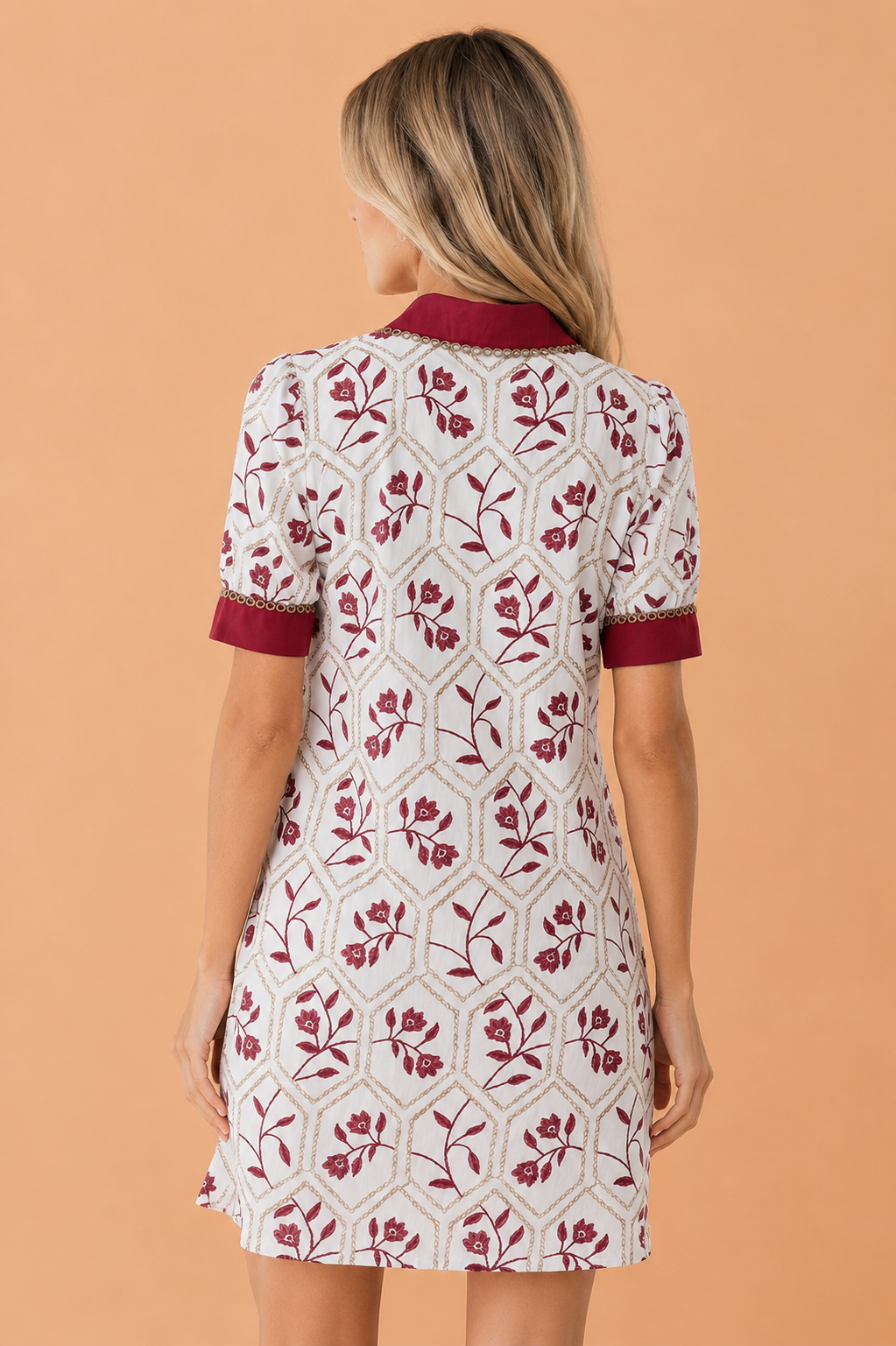 Floral Geometric Lace Trim Collared Mini Dress