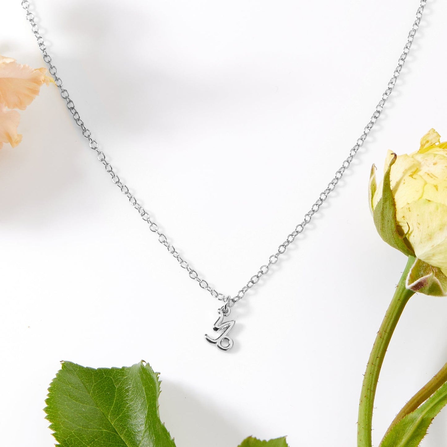 January 7th Capricorn Necklace