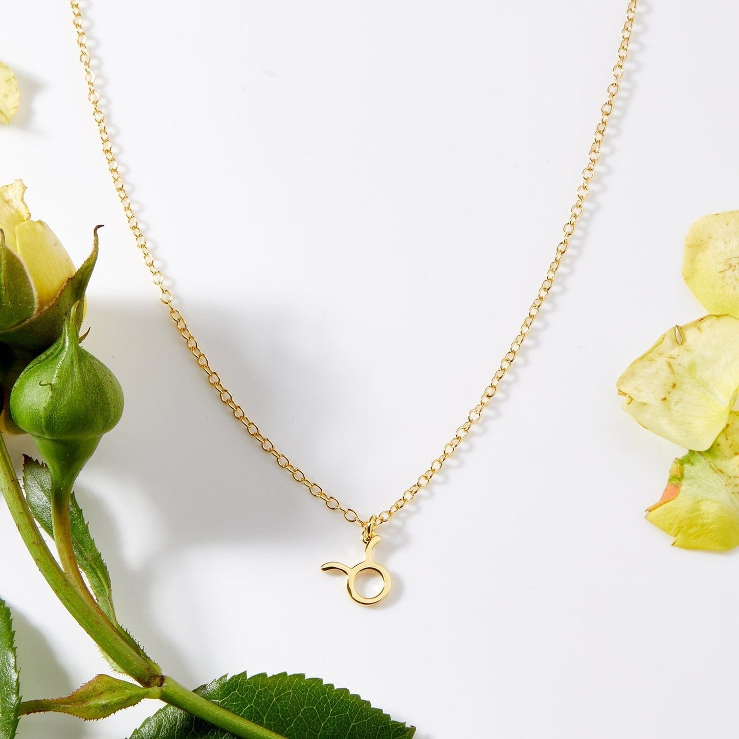 April 25th Taurus Necklace