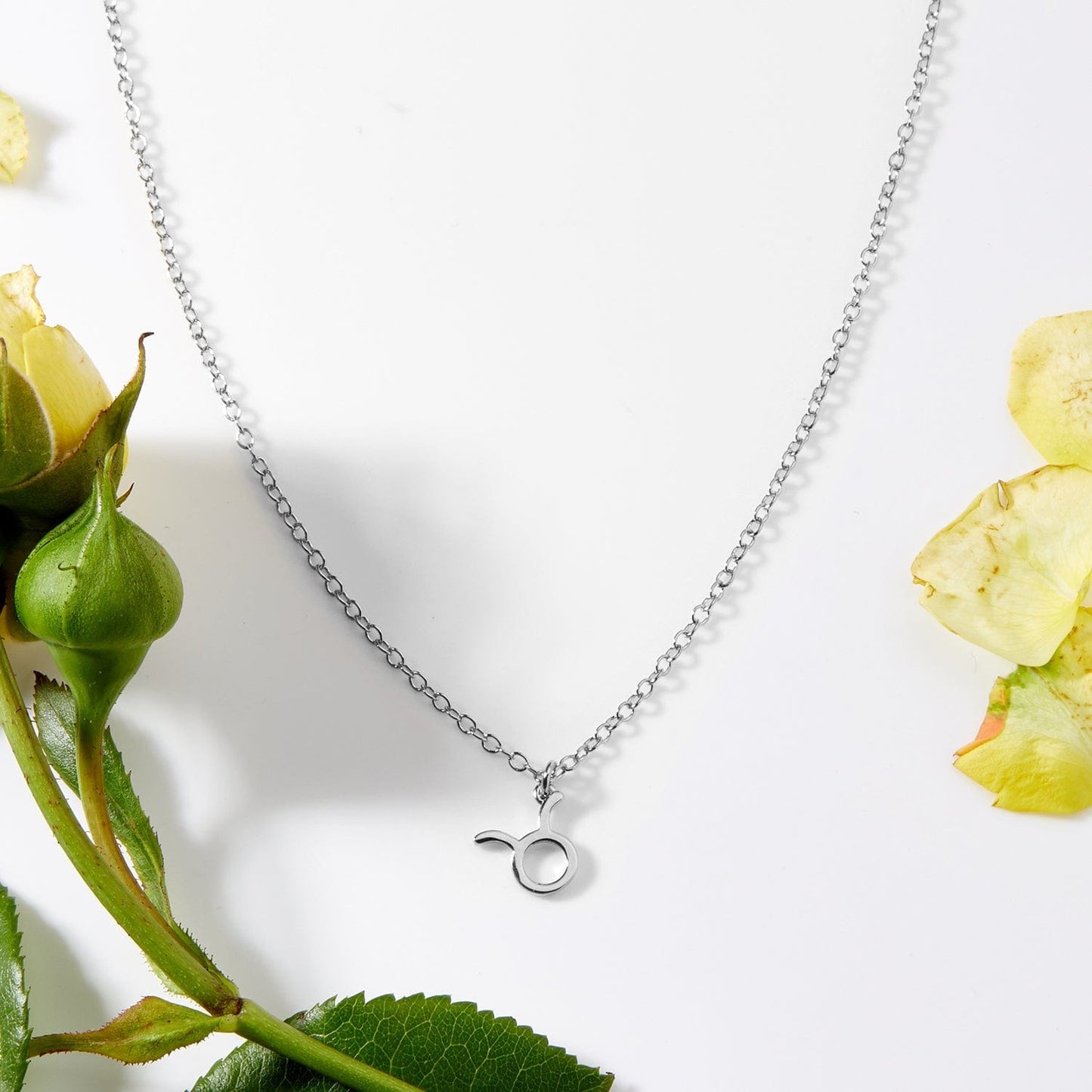 April 30th Taurus Necklace