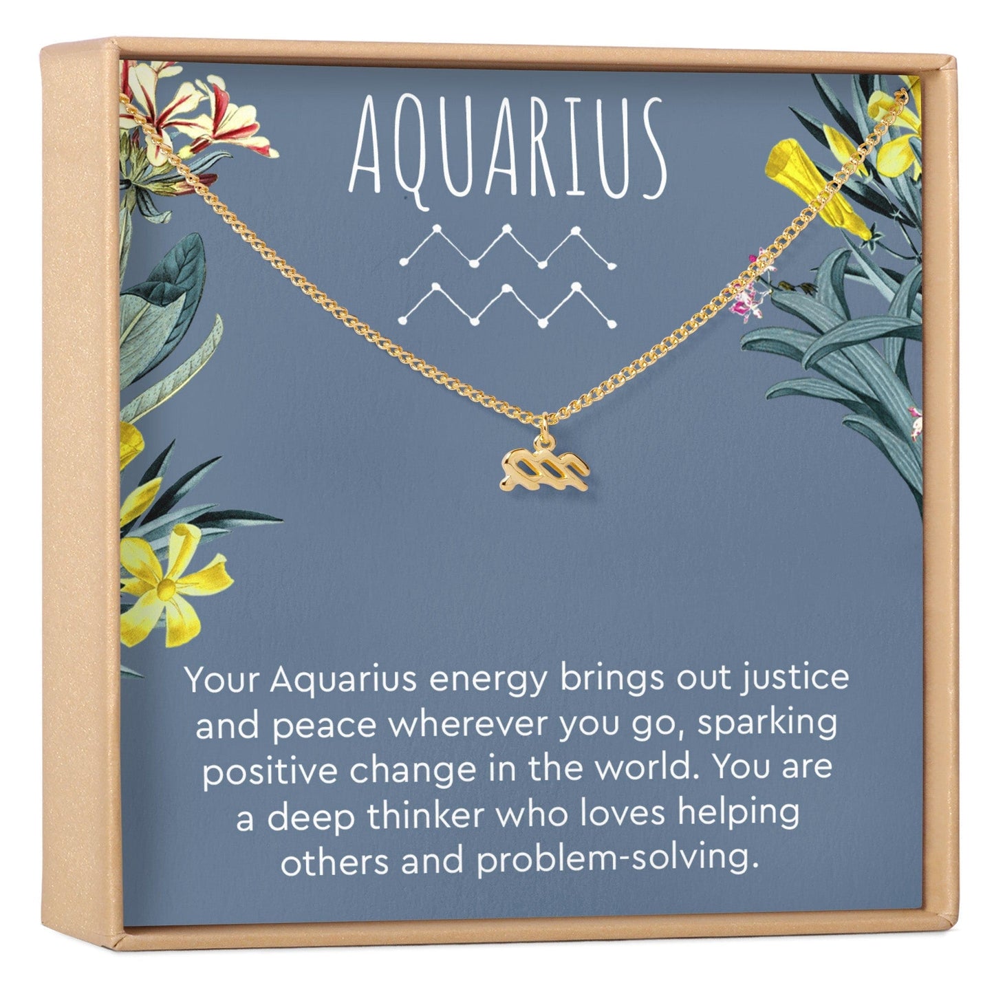Aquarius  Zodiac Gift Necklace