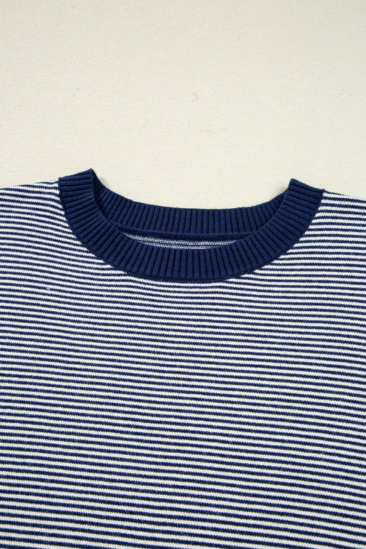 Reese Stripe Dolman Oversize Tunic Sweater