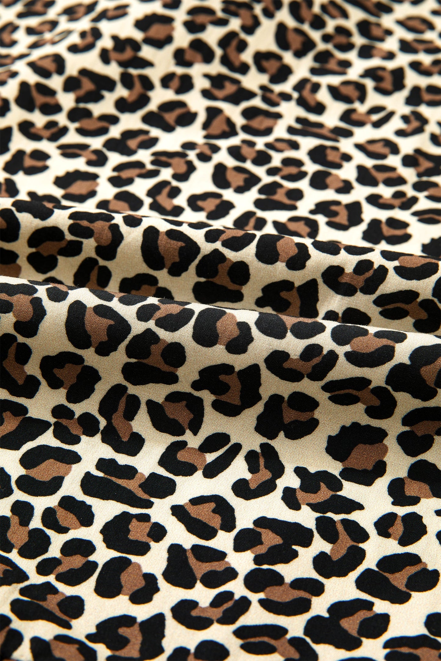 Leopard Stripe Colorblock Trim V-Neck Mini Dress