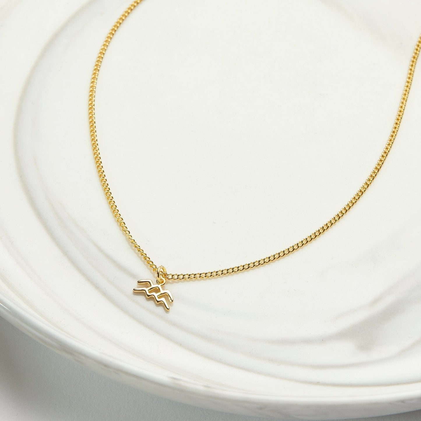 February 15th Aquarius Necklace
