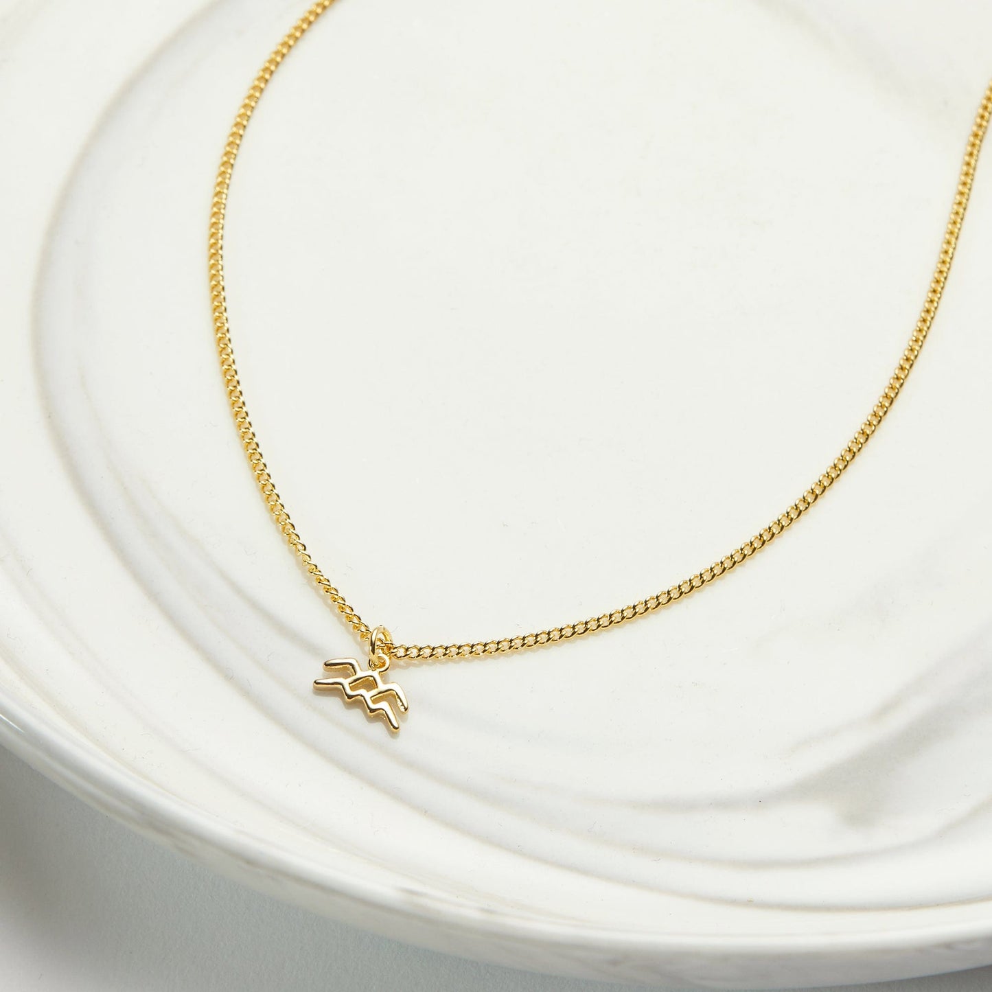 February 17th Aquarius Necklace