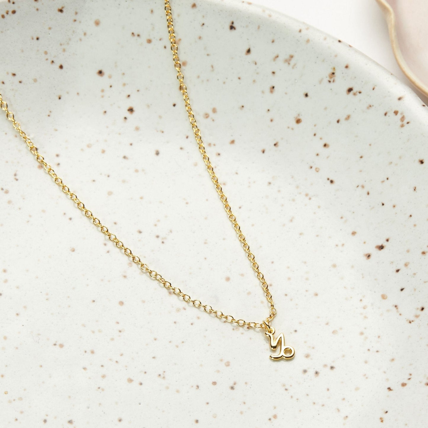 January 7th Capricorn Necklace