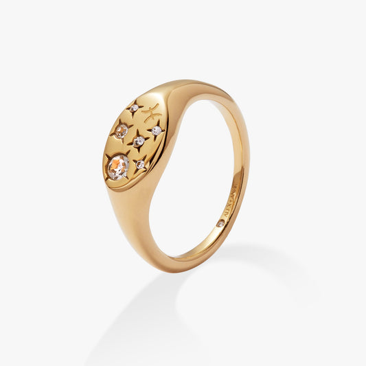Pisces Zodiac Ring